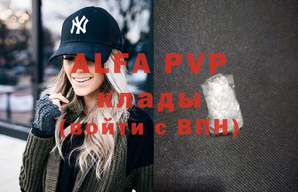 эйфоретик Алзамай