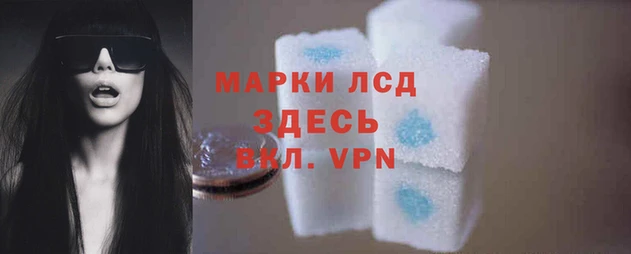 гидропоника Алексеевка