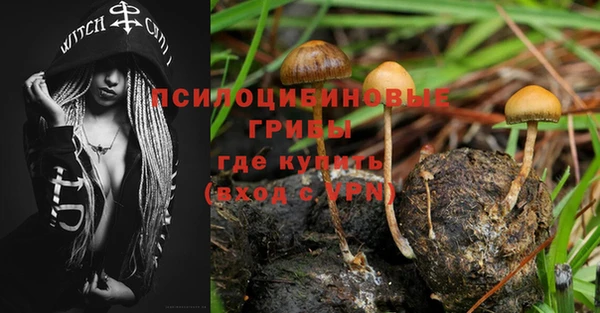 эйфоретик Алзамай
