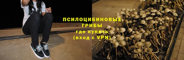 эйфоретик Алзамай
