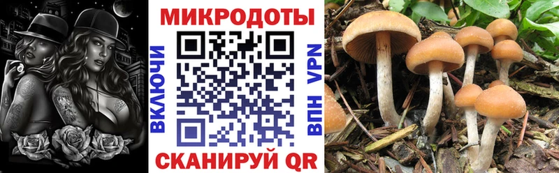 Галлюциногенные грибы Psilocybine cubensis  Купить закладки  Киреевск 
